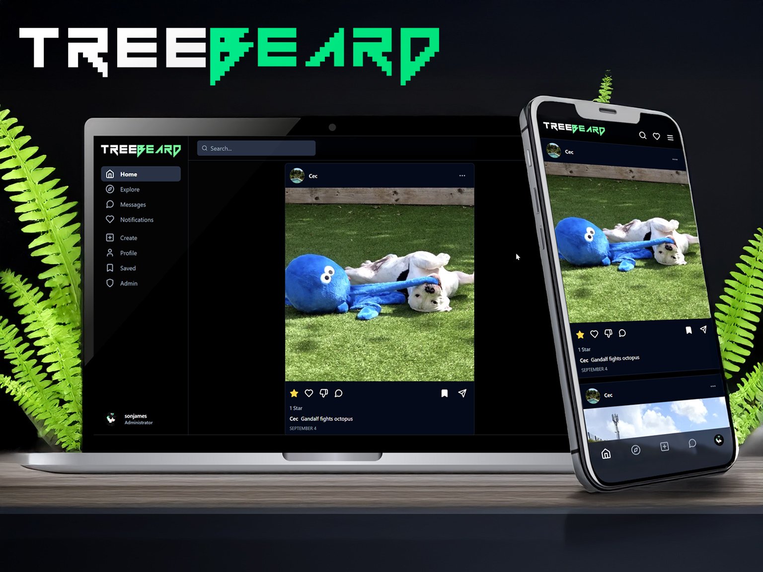 TreeBeard social network website by JStudios, shown on a laptop and a phone